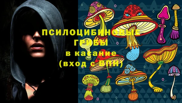 MESCALINE Гусев